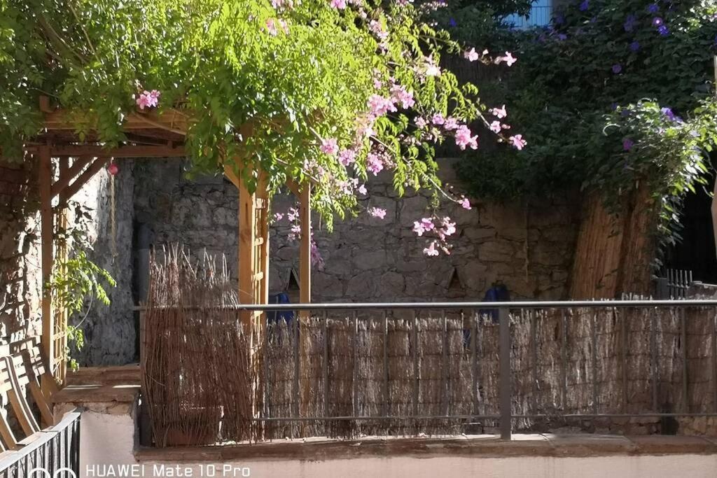 Appartement Avec Jardin Privatif Centre Ville Hyères Esterno foto